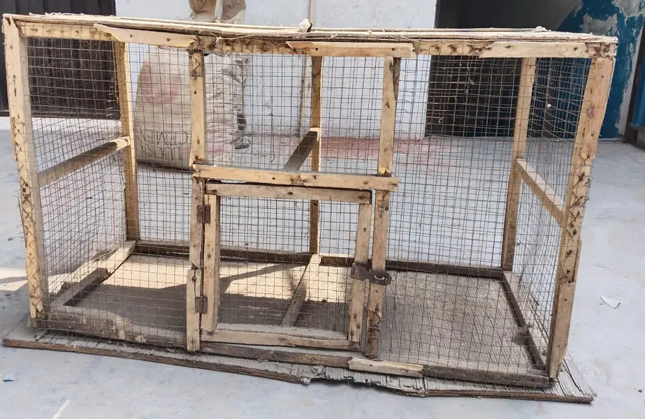 A Cage and Wooden Net Frame — photo 2