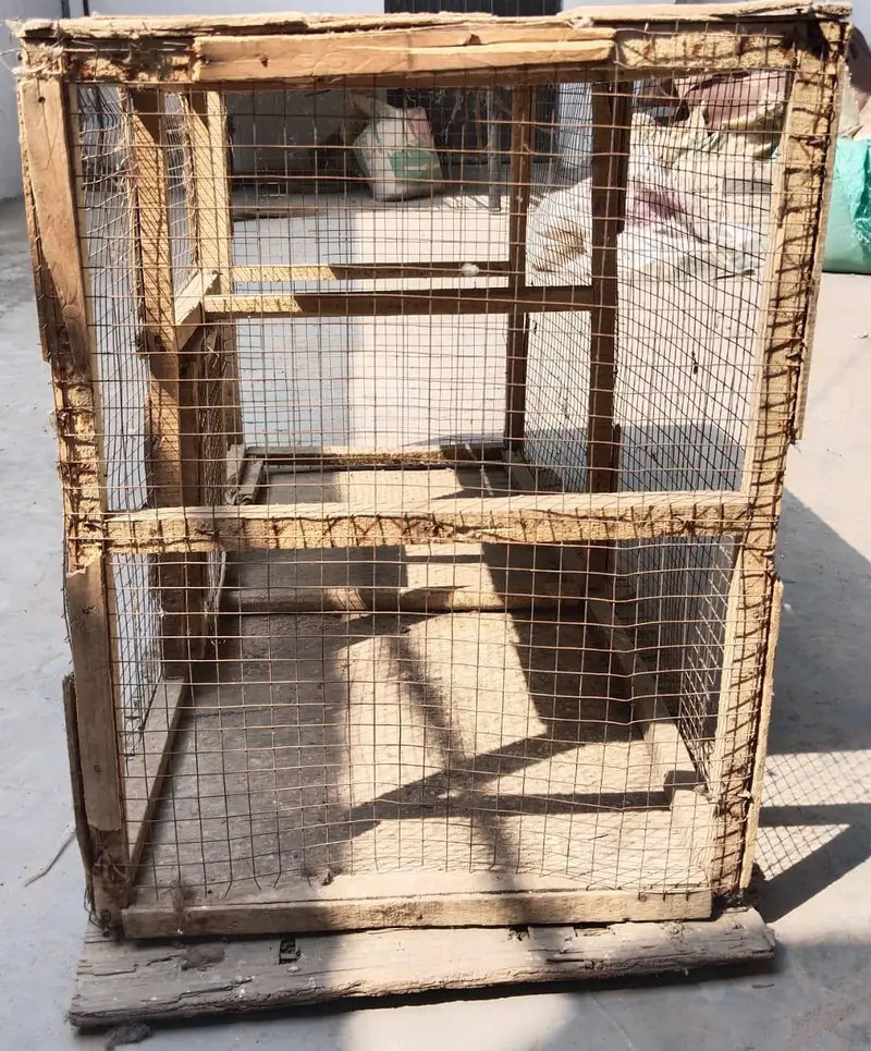A Cage and Wooden Net Frame — photo 3