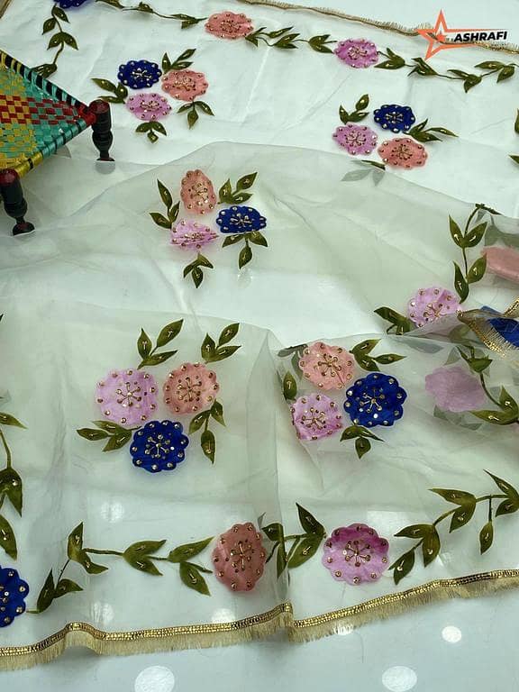 Bridal and Partywear ORGANZA Dupattas for Women - Ashrafi Customized with Brush Paint, Nagina Heavy Beats, and 4-Sided Border Lace
