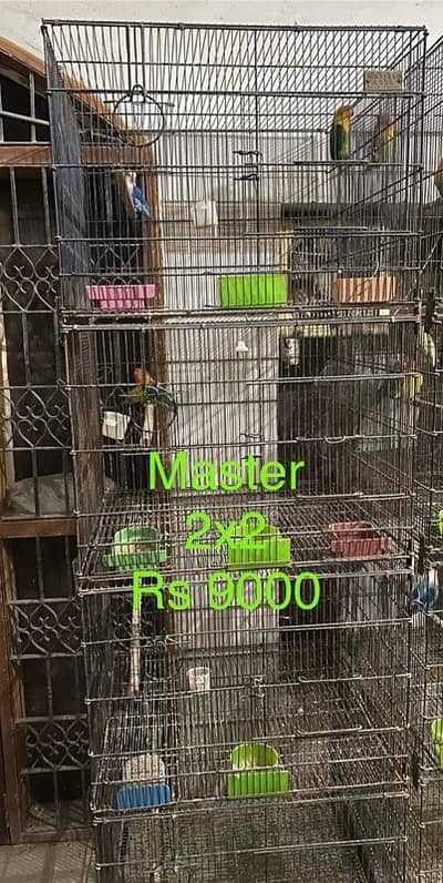Folding cage and love birds
