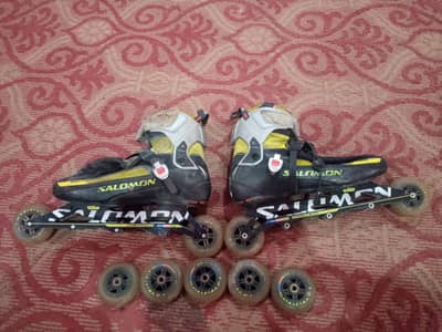 skate shoes wheel shoes