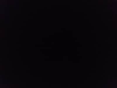 need a good looking female staf