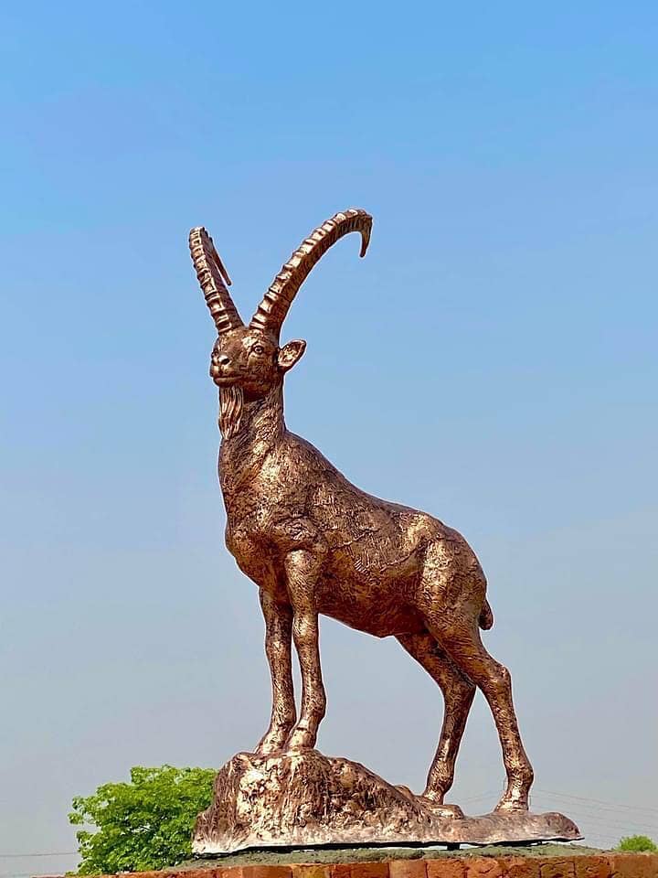 Markhor Ibex statue and sculpture 3