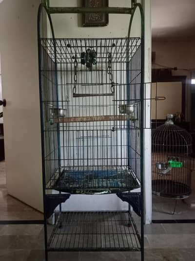 parrat cage