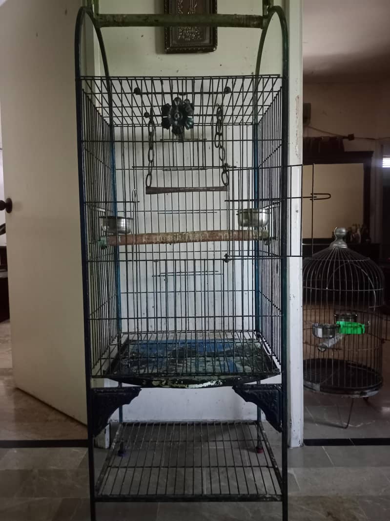 parrat cage 0