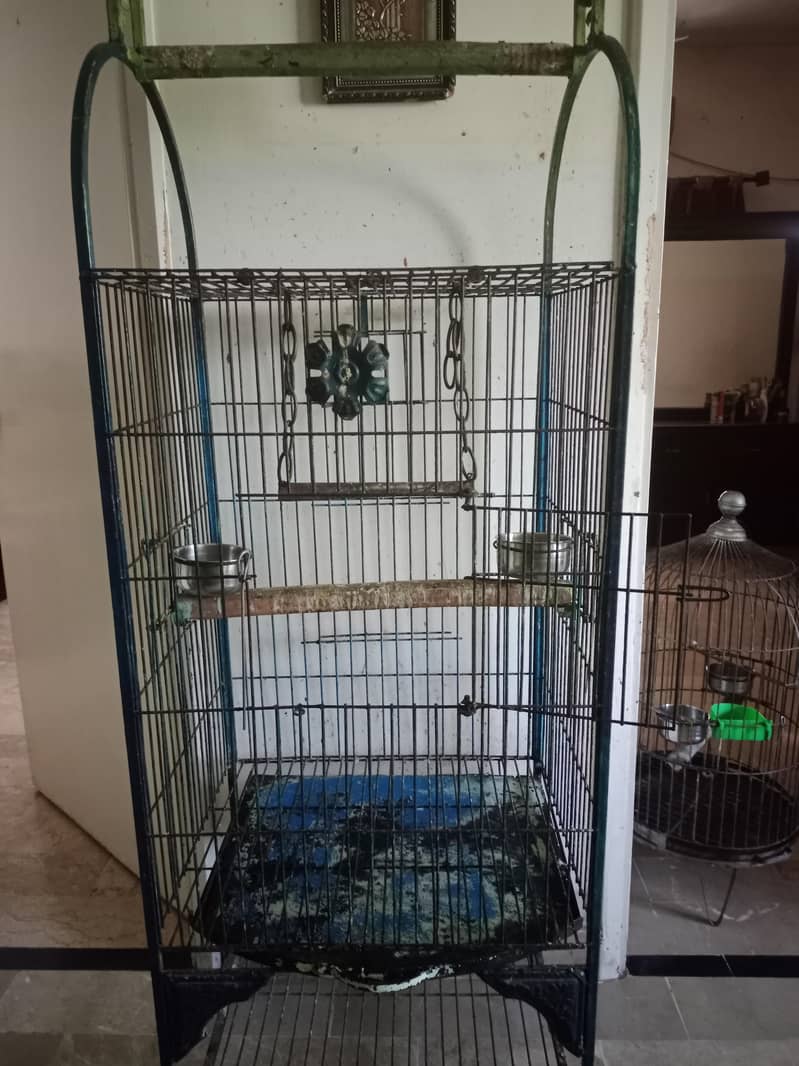 parrat cage 1
