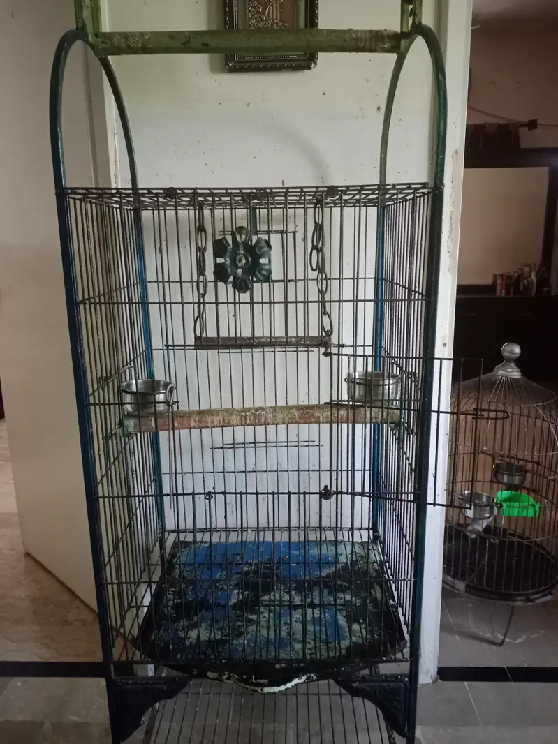 parrat cage — photo 2