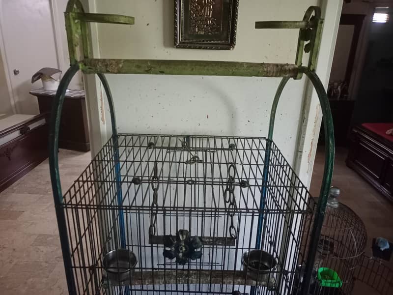 parrat cage 2