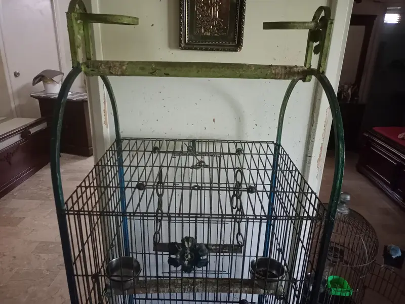 parrat cage — photo 3