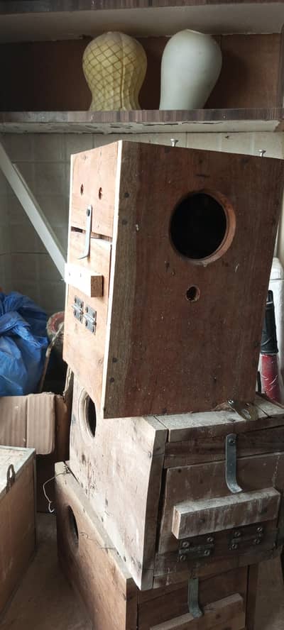 Love Bird Boxes and Cage