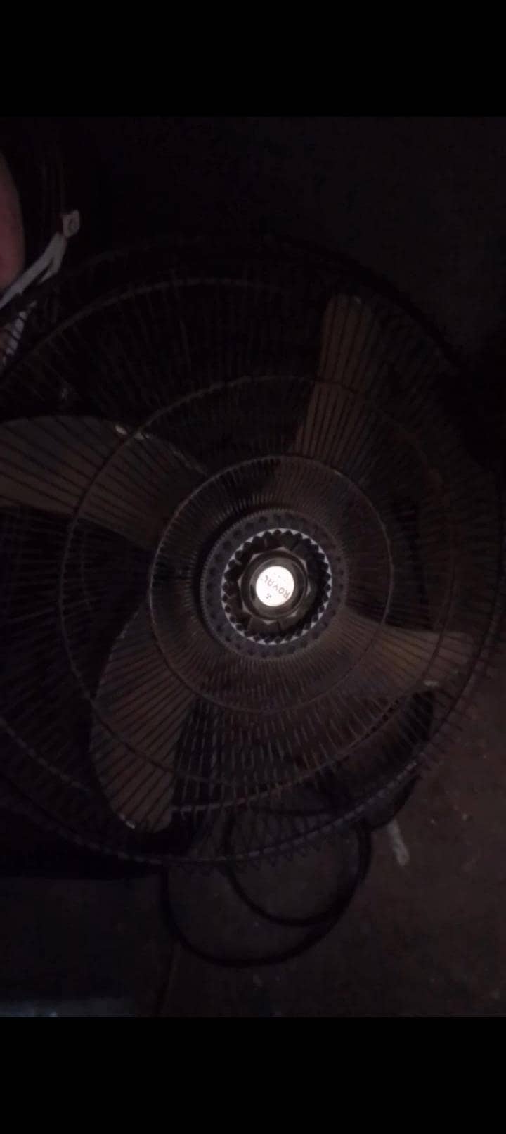royal bracket fan 2