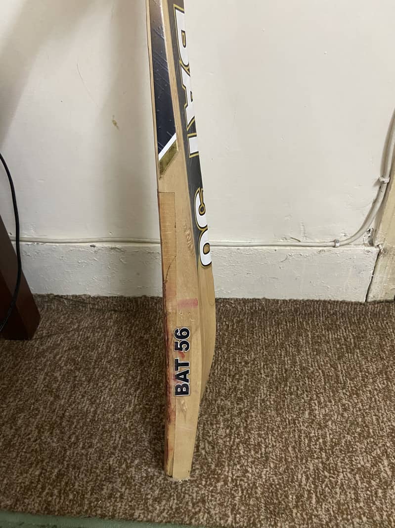 Bat 56 2
