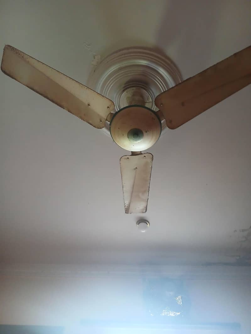 ceiling fan 0
