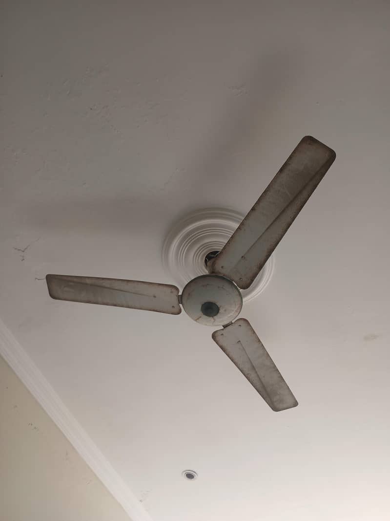 ceiling fan 1