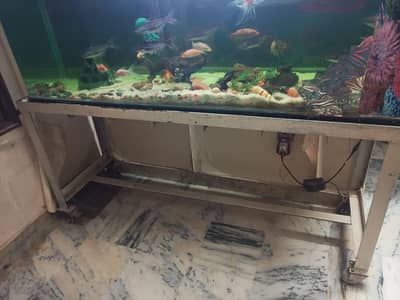 aquarium