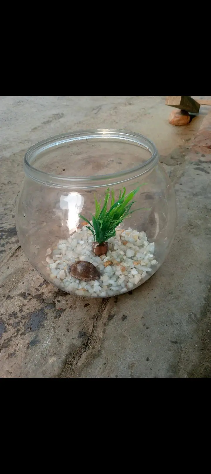 fish bowl with decoration — photo 2