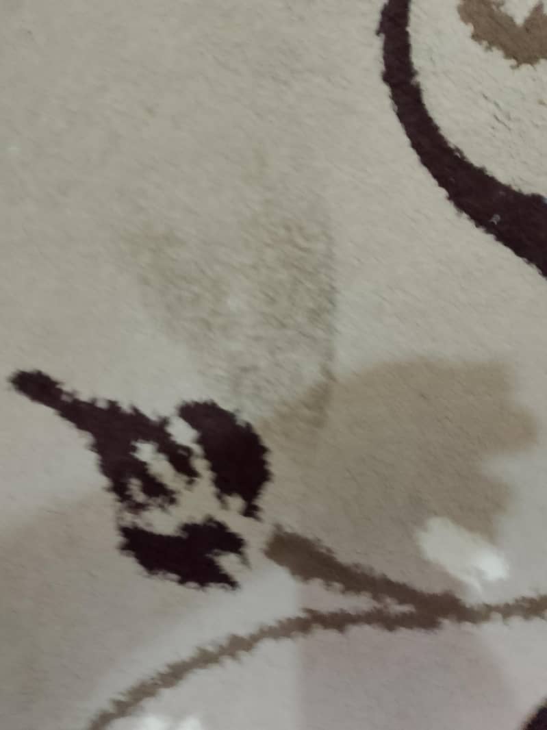brown rug 0