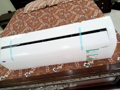 carrier brand new import