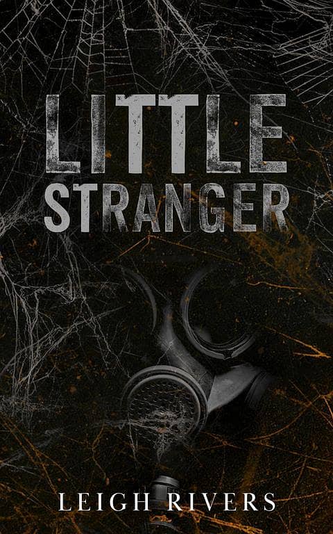 Little Stranger by Leigh Rivers - A Story of Intrigue and Connection