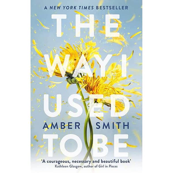 The Way I Used to Be by Amber Smith - Book