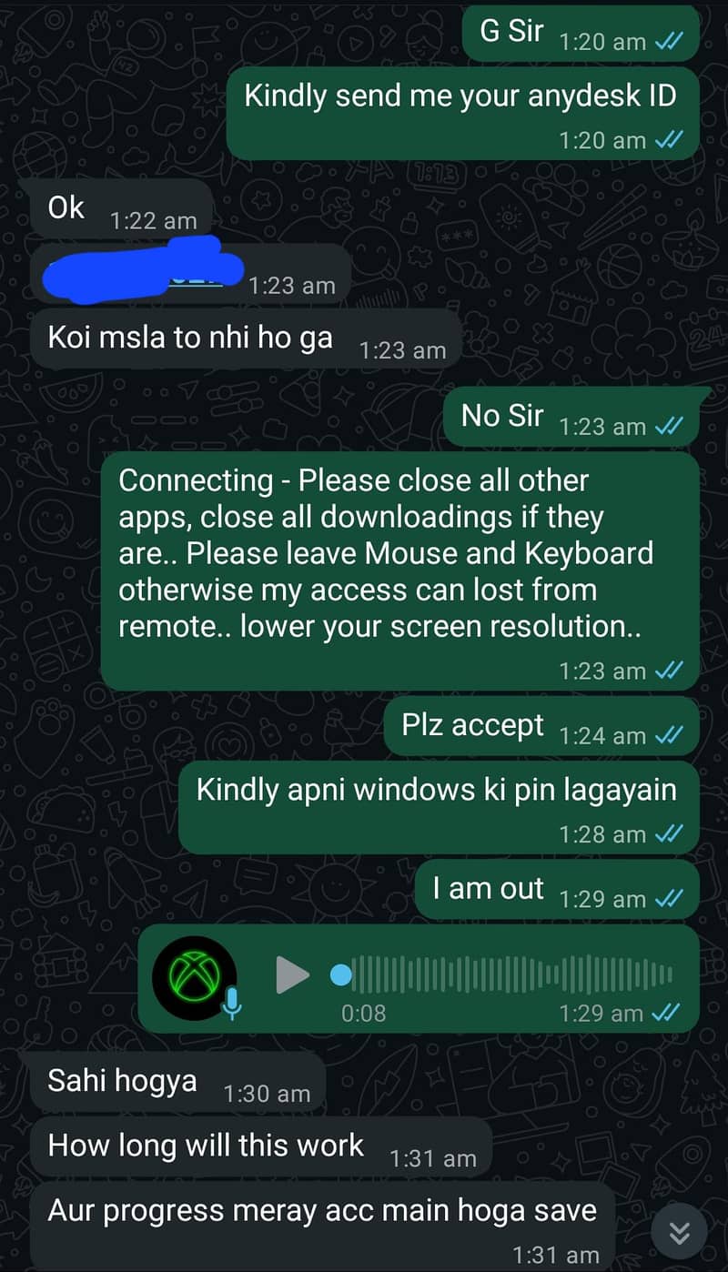 Cricket 24 PC Version Only 1