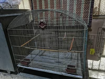 Birds Cage