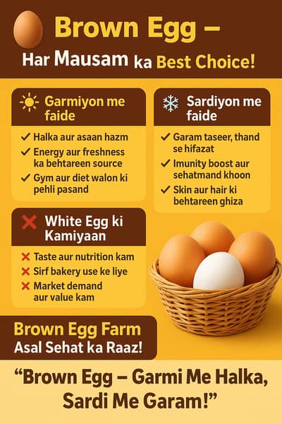 MB protein farm organic brown egg 1000 par tray