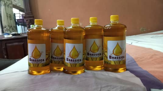 brassica mustard cooking oil