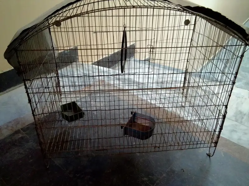 Pinjra for sale