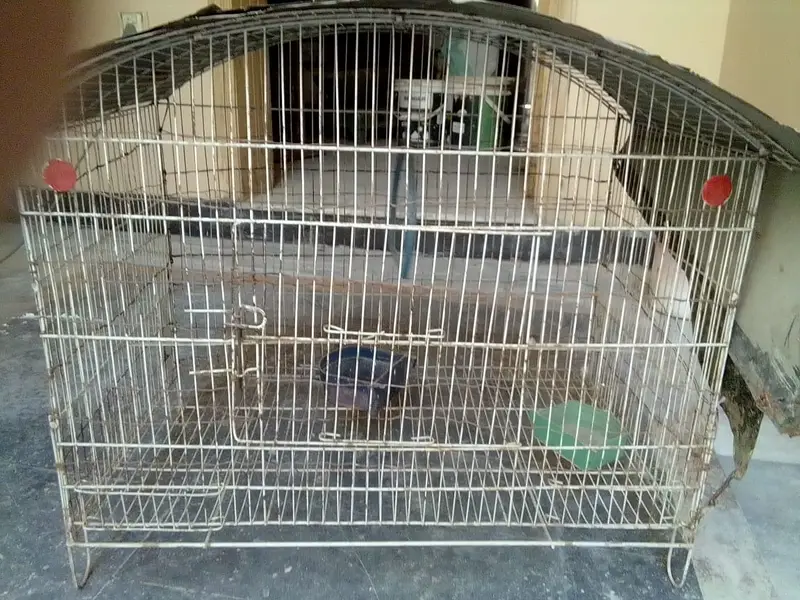 Pinjra for sale — photo 2