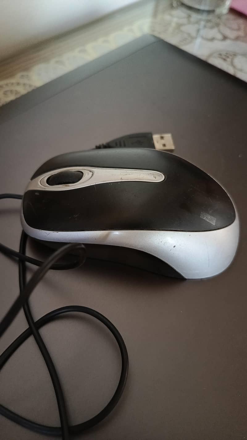Mouse 2