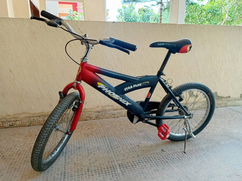 Phoenix Black and Red Cycle 0