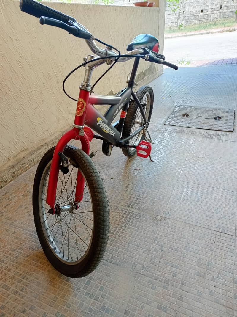 Phoenix Black and Red Cycle 1