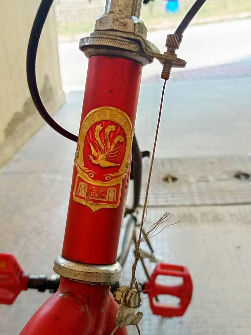 Phoenix Black and Red Cycle 2