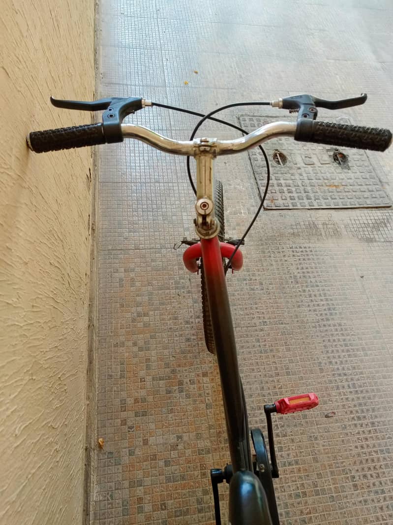 Phoenix Black and Red Cycle 5