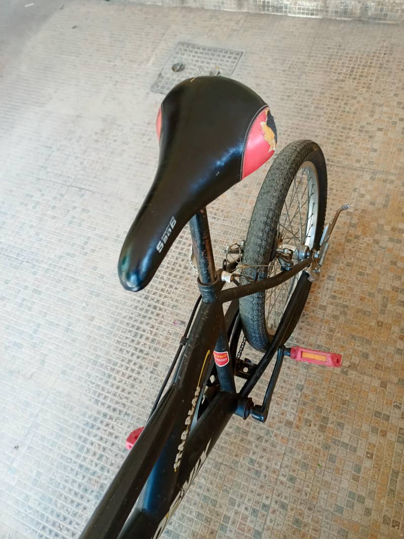 Phoenix Black and Red Cycle 6