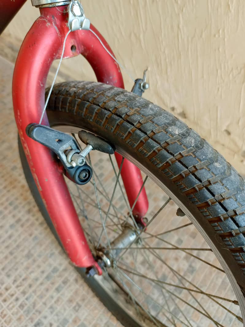 Phoenix Black and Red Cycle 7