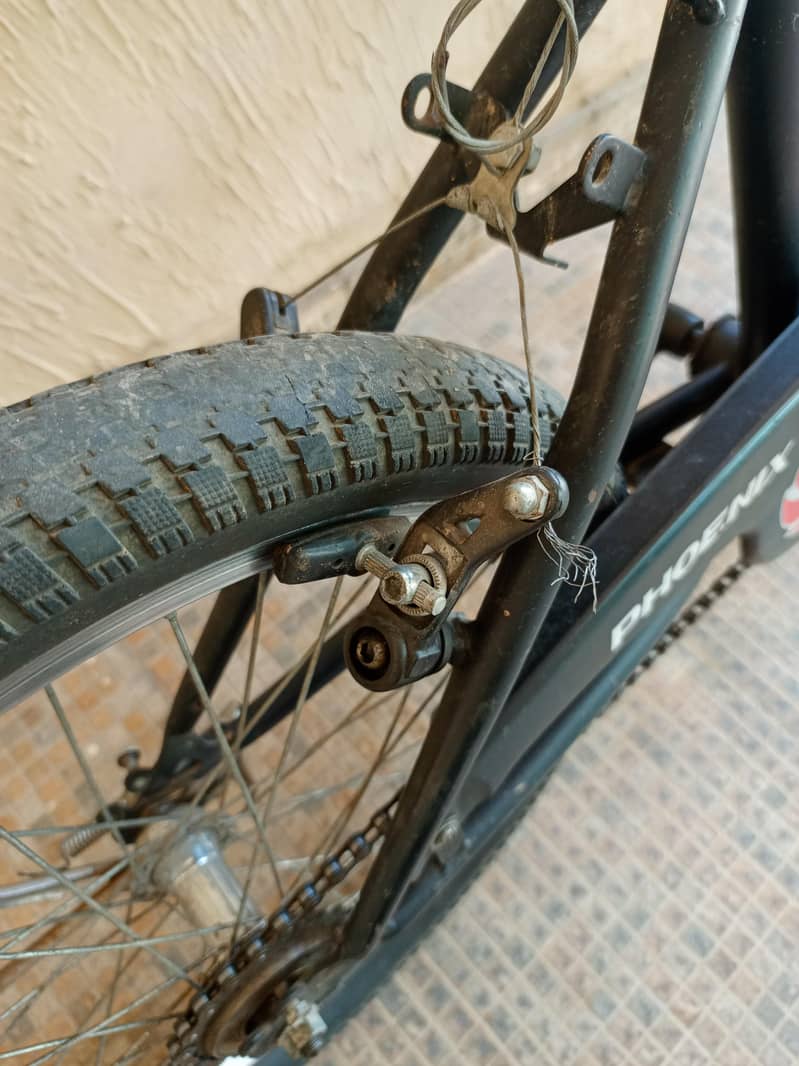 Phoenix Black and Red Cycle 8