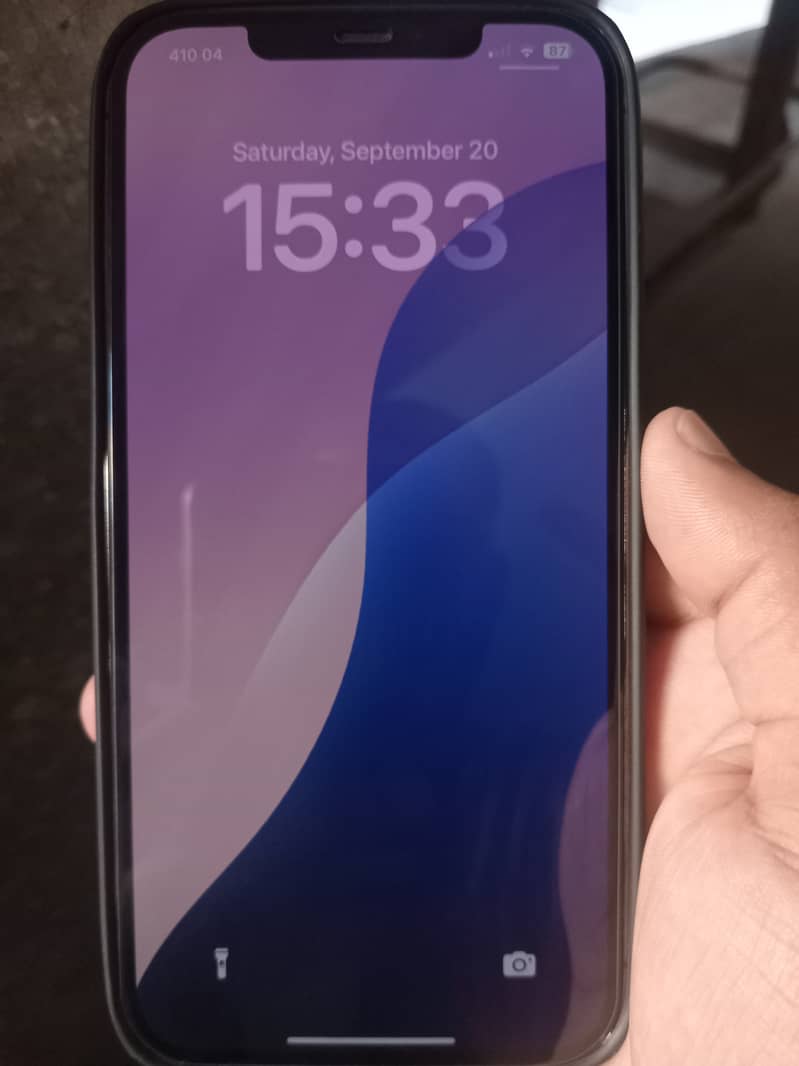 Apple iPhone 12 Pro Max 0
