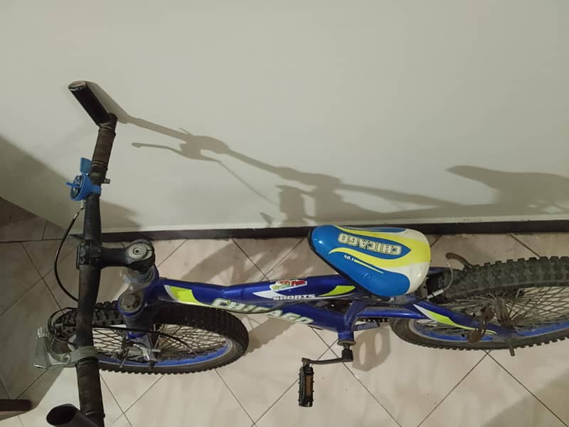 bicycle normal condition 1