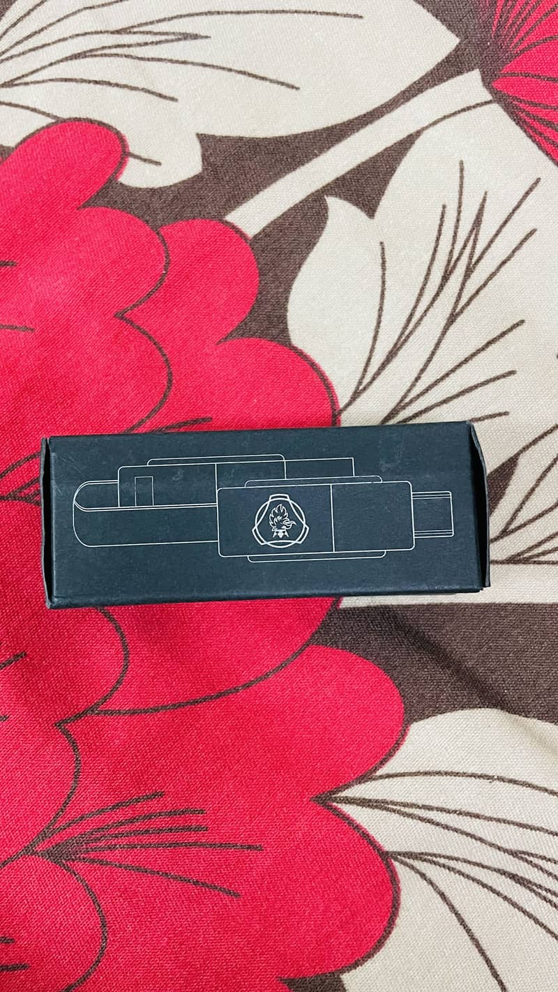 Keychain Charging Cable 1