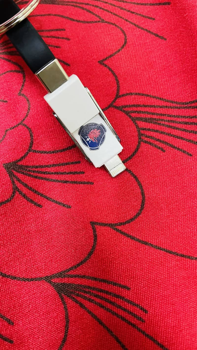 Keychain Charging Cable 3