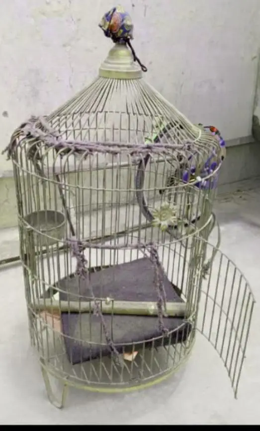 cage fancy round shape for maccow & others (Only Cage) — photo 2