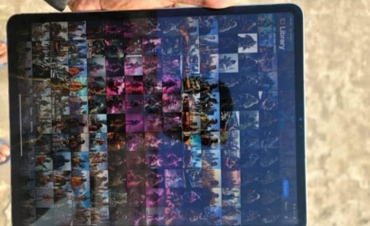 Apple iPad Pro M2 With Apple pencil - Tablets - 1106613361