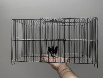 Double Portion Travelling cage for birds