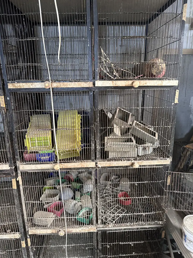 8 portion cage — photo 6