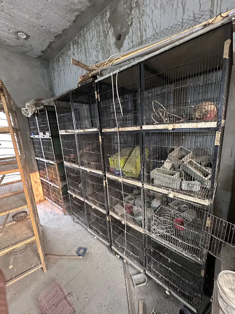 8 portion cage