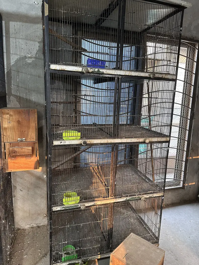 8 portion cage — photo 3