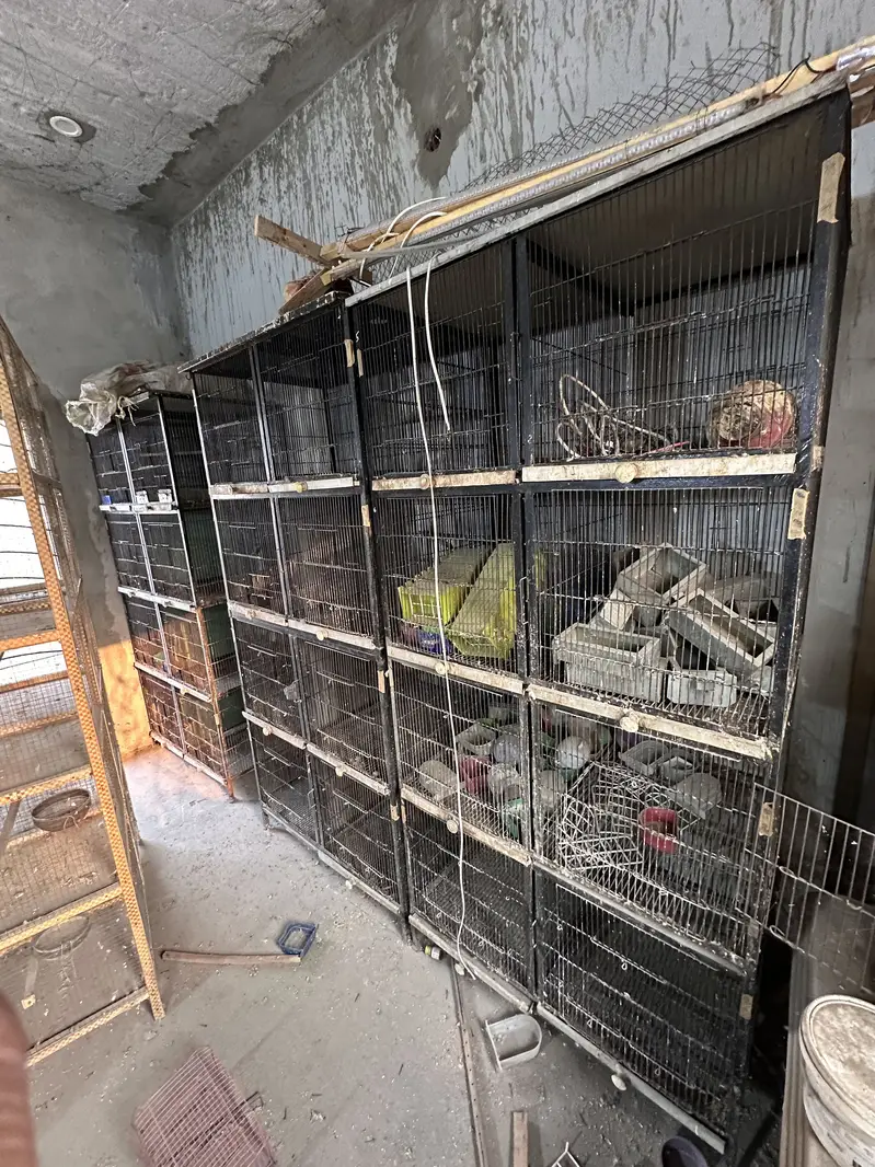 8 portion cage — photo 4