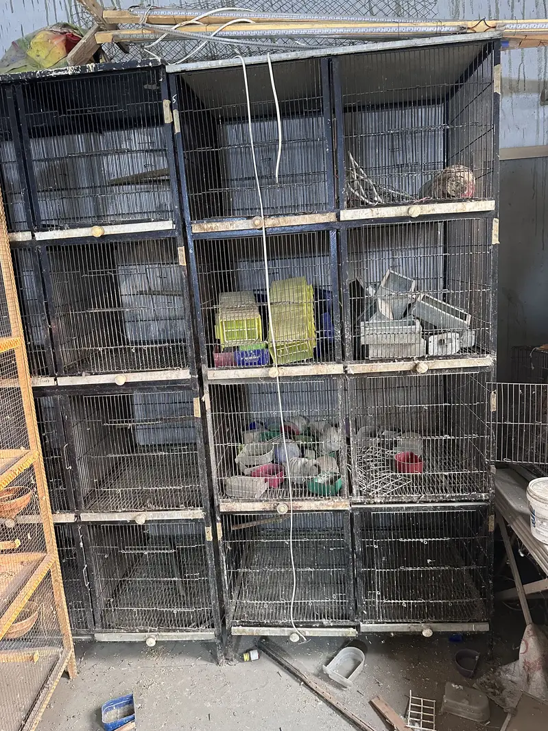 8 portion cage — photo 5
